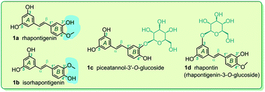 Graphical abstract: Structure–activity relationship and mechanism of four monostilbenes with respect to ferroptosis inhibition