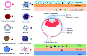 Graphical abstract: Nanocarriers for ocular drug delivery: current status and translational opportunity