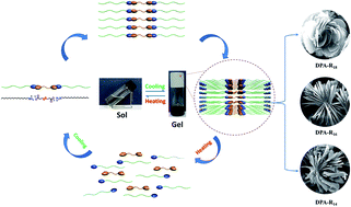 Graphical abstract: Supramolecular organogels fabricated with dicarboxylic acids and primary alkyl amines: controllable self-assembled structures