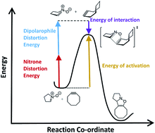 Graphical abstract: Predicting reactivity for bioorthogonal cycloadditions involving nitrones
