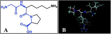 Graphical abstract: Investigation of angiotensin-I-converting enzyme (ACE) inhibitory tri-peptides: a combination of 3D-QSAR and molecular docking simulations