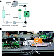 Graphical abstract: The flow limiting operator: a new approach to environmental control in flow bioreactors