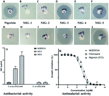 Graphical abstract: Approach to nigericin derivatives and their therapeutic potential