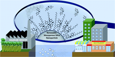 Graphical abstract: Fast, efficient and clean adsorption of bisphenol-A using renewable mesoporous silica nanoparticles from sugarcane waste ash