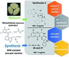 Graphical abstract: New marine-derived indolymethyl pyrazinoquinazoline alkaloids with promising antimicrobial profiles