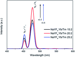Graphical abstract: Study of near-infrared light-induced excitation of upconversion nanoparticles as a vector for non-viral DNA delivery