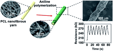 Graphical abstract: All-organic, conductive and biodegradable yarns from core–shell nanofibers through electrospinning