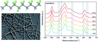 Graphical abstract: P(VDF-TrFE) nanofibers: structure of the ferroelectric and paraelectric phases through IR and Raman spectroscopies