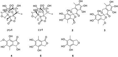 Graphical abstract: Fused multicyclic polyketides with a two-spiro-carbon skeleton from mangrove-derived endophytic fungus Epicoccum nigrum SCNU-F0002