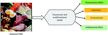 Graphical abstract: Color-changing intensified light-emitting multifunctional textiles via digital printing of biobased flavin