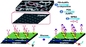 Graphical abstract: Functional nanostructure-loaded three-dimensional graphene foam as a non-enzymatic electrochemical sensor for reagentless glucose detection