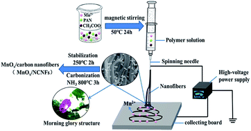 Graphical abstract: Preparation of novel morning glory structure γ-MnO2/carbon nanofiber composite materials with the electrospinning method and their high electrochemical performance