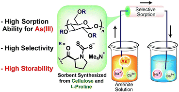 Graphical abstract: Dithiocarbamate-modified cellulose-based sorbents with high storage stability for selective removal of arsenite and hazardous heavy metals