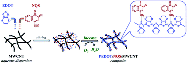 Graphical abstract: Enzymatic synthesis and electrochemical characterization of sodium 1,2-naphthoquinone-4-sulfonate-doped PEDOT/MWCNT composite