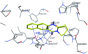 Graphical abstract: Investigation of some benzoquinazoline and quinazoline derivatives as novel inhibitors of HCV-NS3/4A protease: biological, molecular docking and QSAR studies
