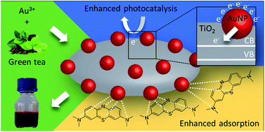 Graphical abstract: Gold nanoparticle decorated titania for sustainable environmental remediation: green synthesis, enhanced surface adsorption and synergistic photocatalysis