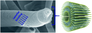 Graphical abstract: Co-solvent polarity tuned thermochromic nanotubes of cyclic dipeptide–polydiacetylene supramolecular system