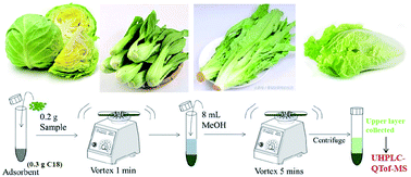 Graphical abstract: Optimization of double-vortex-assisted matrix solid-phase dispersion for the rapid determination of paraben preservative residues in leafy vegetables