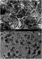 Graphical abstract: The in situ preparation of iron phosphide using ionic liquids as iron and phosphorus sources for efficient hydrogen evolution reactions