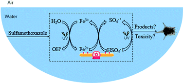 Graphical abstract: Cooperation of Fe(II) and peroxymonosulfate for enhancement of sulfamethoxazole photodegradation: mechanism study and toxicity elimination