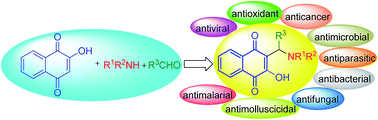 Graphical abstract: Mannich bases derived from lawsone and their metal complexes: synthetic strategies and biological properties