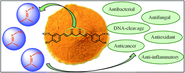 Graphical abstract: A review on biological activities of Schiff base, hydrazone, and oxime derivatives of curcumin