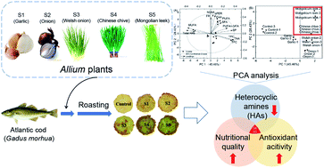 Graphical abstract: Chinese chive and Mongolian leek suppress heterocyclic amine formation and enhance nutritional profile of roasted cod