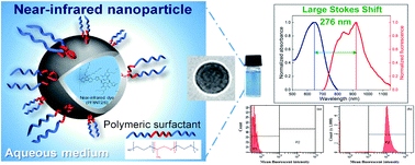 Graphical abstract: Near-infrared polyfluorene encapsulated in poly(ε-caprolactone) nanoparticles with remarkable large Stokes shift