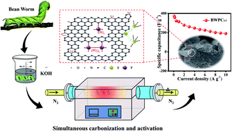 Graphical abstract: One-step production of N–O–P–S co-doped porous carbon from bean worms for supercapacitors with high performance