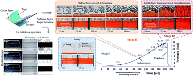 Graphical abstract: Bonding of thermoplastic microfluidics by using dry adhesive tape