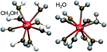 Graphical abstract: Probing calcium solvation by XAS, MD and DFT calculations