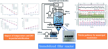 Graphical abstract: The impact of temperature and dissolved oxygen (DO) on the partial nitrification of immobilized fillers, and application in municipal wastewater