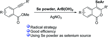 Graphical abstract: Synthesis of selenated isochromenones by AgNO3-catalyzed three-component reaction of alkynylaryl esters, selenium powder and ArB(OH)2