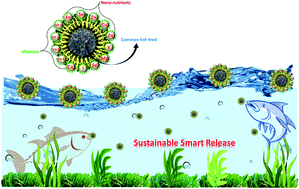 Graphical abstract: Influence of nanoparticle-based nano-nutrients on the growth performance and physiological parameters in tilapia (Oreochromis niloticus)
