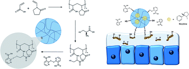 Graphical abstract: Preactivated-thiolated polyacrylic acid/1-vinyl pyrrolidone nanoparticles as nicotine carriers for smoking cessation