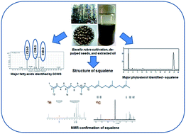Graphical abstract: Chemical composition, nutraceuticals characterization, NMR confirmation of squalene and antioxidant activities of Basella rubra L. seed oil