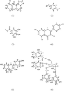 Graphical abstract: Retracted Article: Antiulcer secondary metabolites from Elaeocarpus grandis, family Elaeocarpaceae, supported by in silico studies