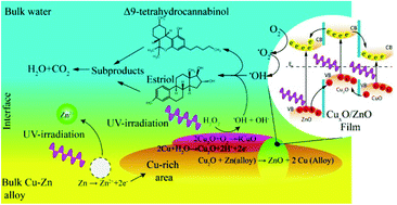 Graphical abstract: Photocatalytic activity of micron-scale brass on emerging pollutant degradation in water: mechanism elucidation and removal efficacy assessment