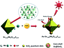 Graphical abstract: A redox-active support for the synthesis of Au@SnO2 core–shell nanostructure and SnO2 quantum dots with efficient photoactivities