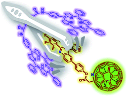 Graphical abstract: Solution-phase molecular recognition of an azafullerene-quinoline dyad by a face-to-face porphyrin-dimer tweezer