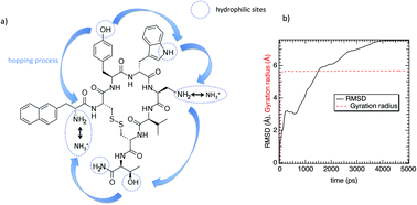 Graphical abstract: Anomalous dynamics of water at the octopeptide lanreotide surface