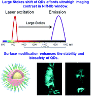 Graphical abstract: Near-infrared-IIb probe affords ultrahigh contrast inflammation imaging