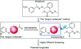 Graphical abstract: The application of “plug-in molecules” method in novel strobilurin fungicides screening