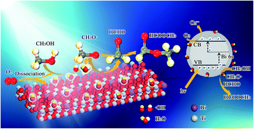 Graphical abstract: Photocatalytic partial oxidation of methanol to methyl formate under visible light irradiation on Bi-doped TiO2 via tuning band structure and surface hydroxyls