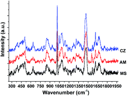 Graphical abstract: The statistical fusion identification of dairy products based on extracted Raman spectroscopy