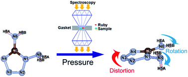 Graphical abstract: Pressure-induced phase transition of 1,5-diamino-1H-tetrazole (DAT) under high pressure