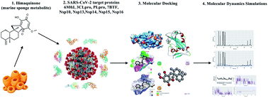 Graphical abstract: Ilimaquinone (marine sponge metabolite) as a novel inhibitor of SARS-CoV-2 key target proteins in comparison with suggested COVID-19 drugs: designing, docking and molecular dynamics simulation study