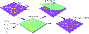 Graphical abstract: Shape-dependent close-edge 2D-MoS2 nanobelts