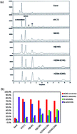 Graphical abstract: Interpretation of the mechanism of 3,3′-dichloro-4,4′-diamino diphenylmethane synthesis over HY zeolites