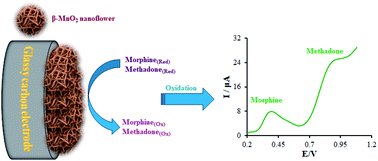Graphical abstract: Simultaneous determination of methadone and morphine at a modified electrode with 3D β-MnO2 nanoflowers: application for pharmaceutical sample analysis